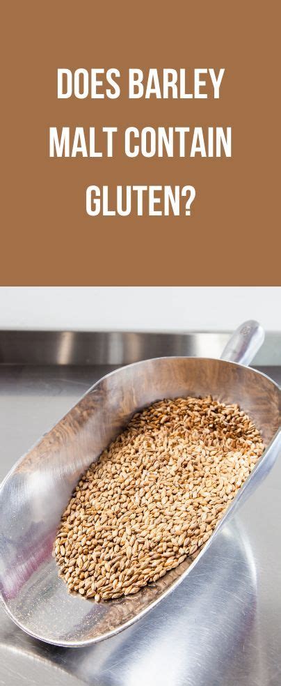 is malted barley gluten free